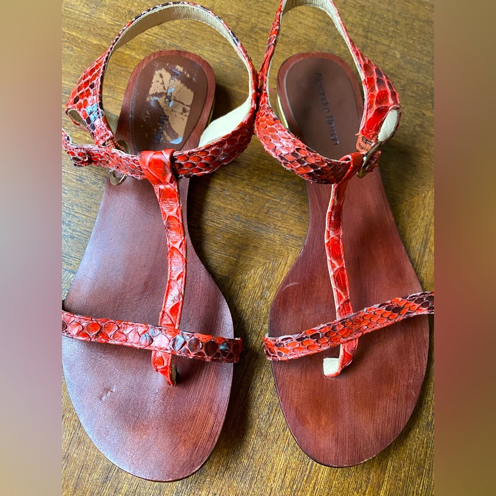 Alexandre Birman Red Python T Sandals Size 5 - image 1